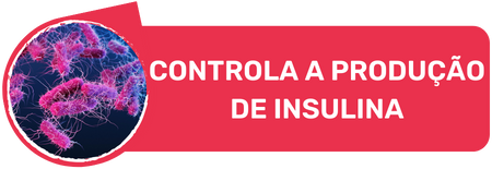 controla-a-producao-de-insulina.png